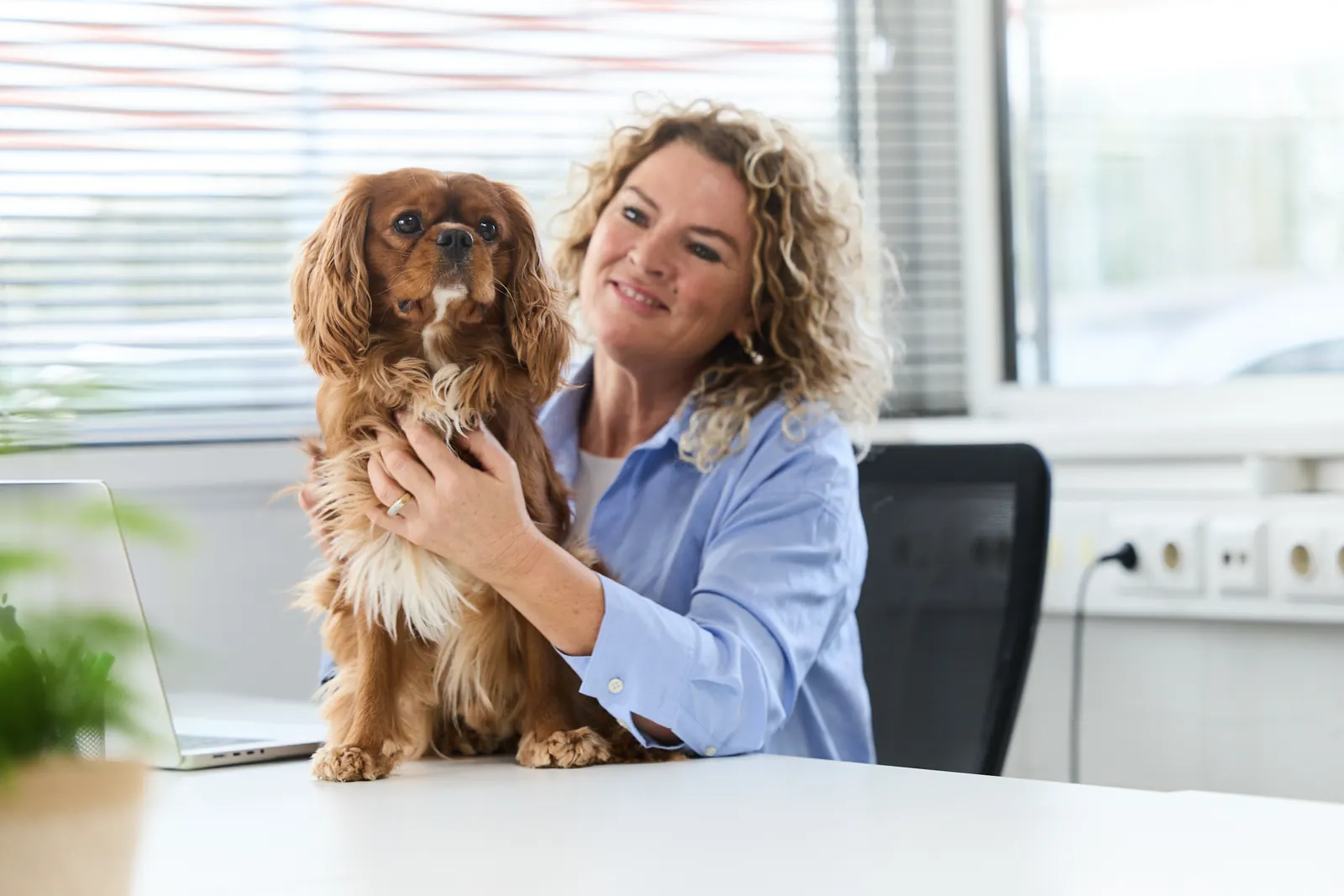 Kwik, de hond en talentspeurneus van Quikr Talent