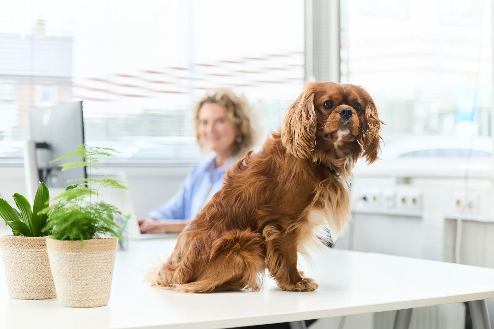 Team van Quikr Talent voor werving en selectie in Bikbergen